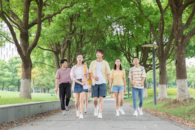 洛阳职业技术学院单招怎样报名(洛阳职业技术学院单招好进吗)