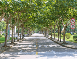 吉林师范大学文学专业引见